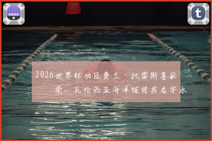 2026世界杯功臣费兰·托雷斯喜获殊荣,瓦伦西亚海洋馆将其名字永久赋予一条灰鲨