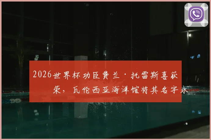 2026世界杯功臣费兰·托雷斯喜获殊荣,瓦伦西亚海洋馆将其名字永久赋予一条灰鲨